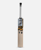 HS 41 Player Edition