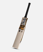 HS 41 Pro Edition