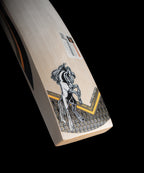 HS 41 Pro Edition
