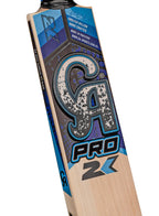 CA Pro 2K