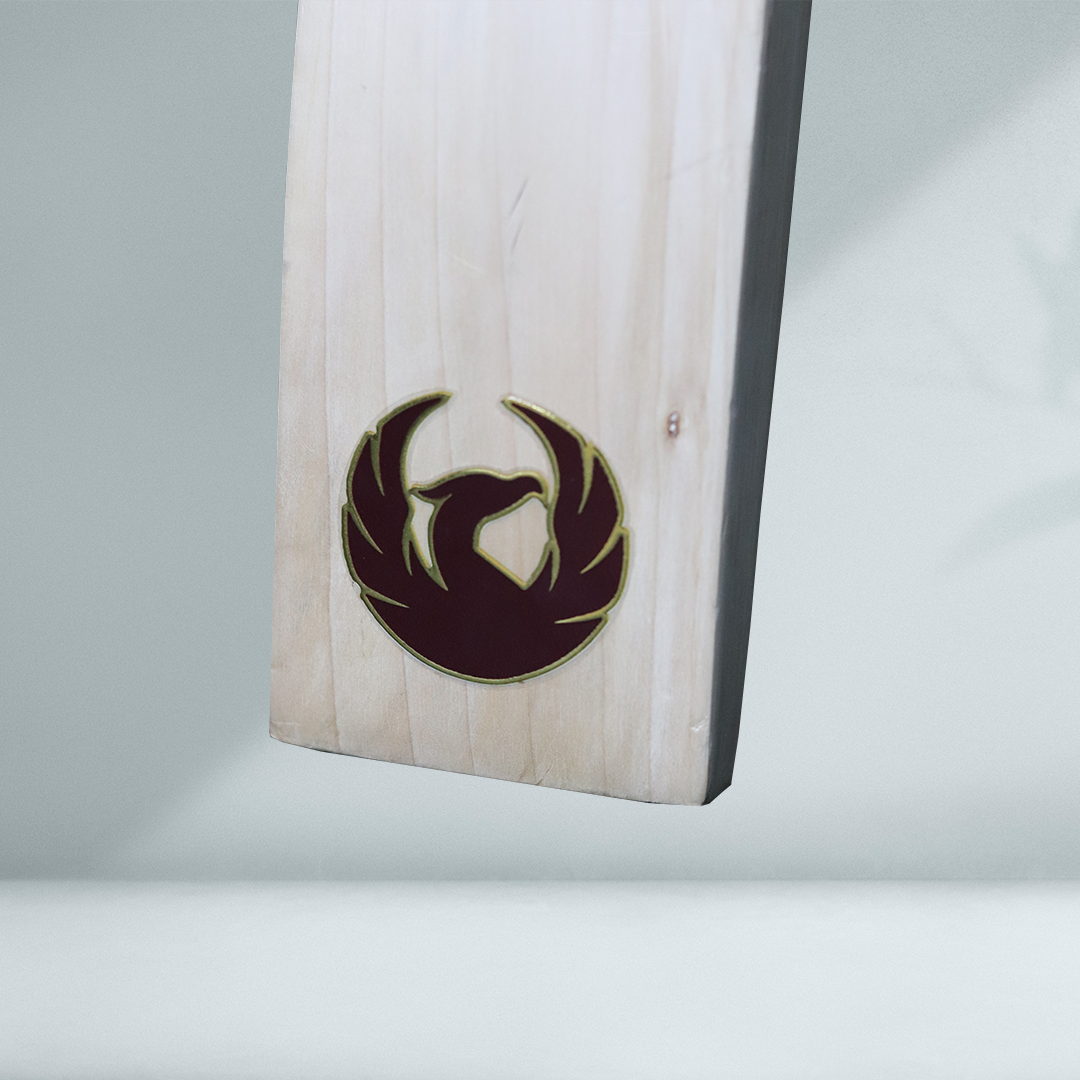 Dynamic Dragon Bat